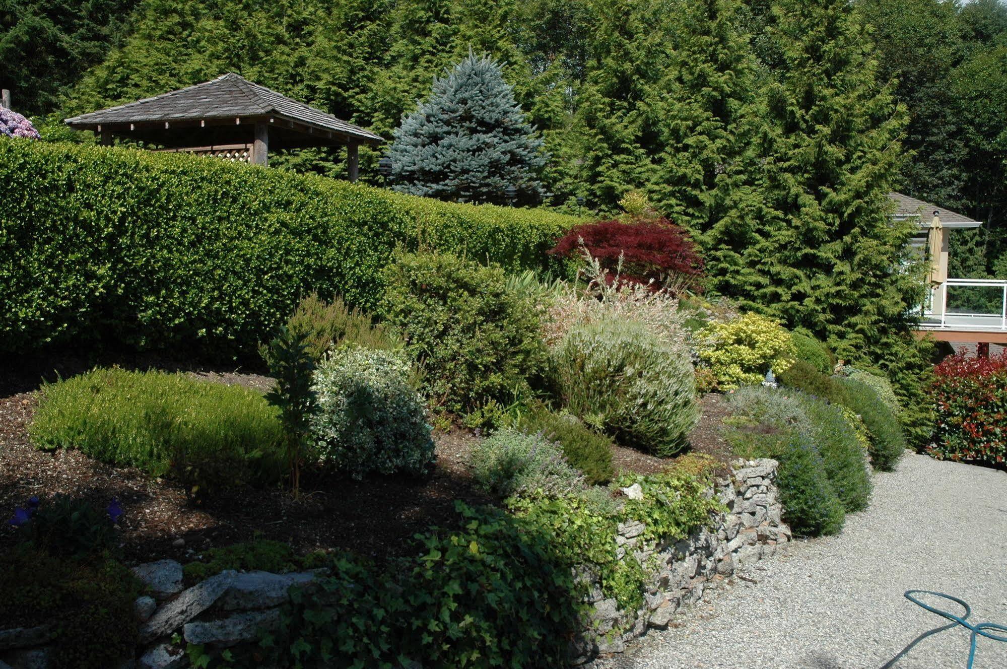 At The Shore Bed And Breakfast Sechelt Exteriér fotografie