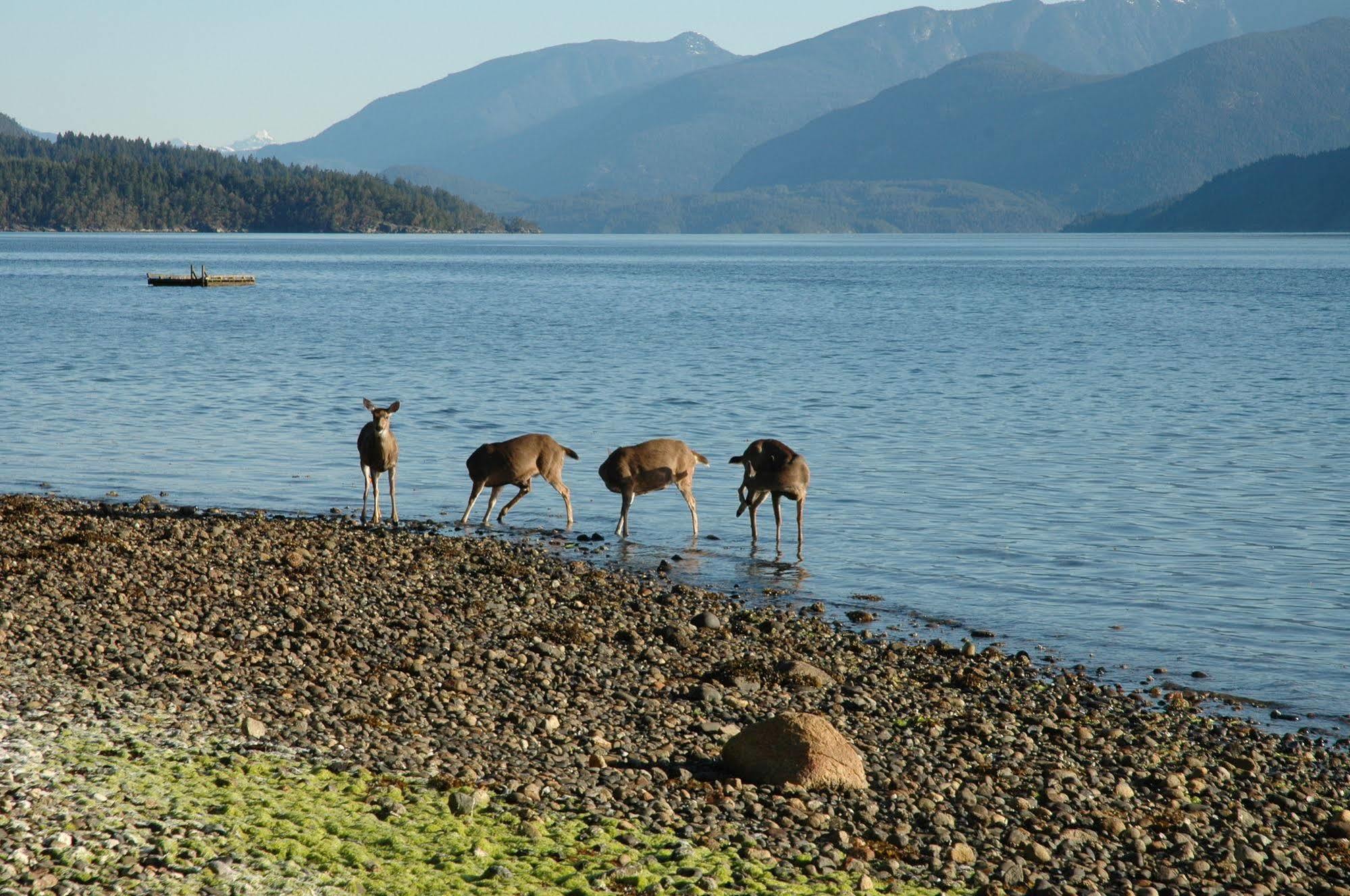At The Shore Bed And Breakfast Sechelt Exteriér fotografie